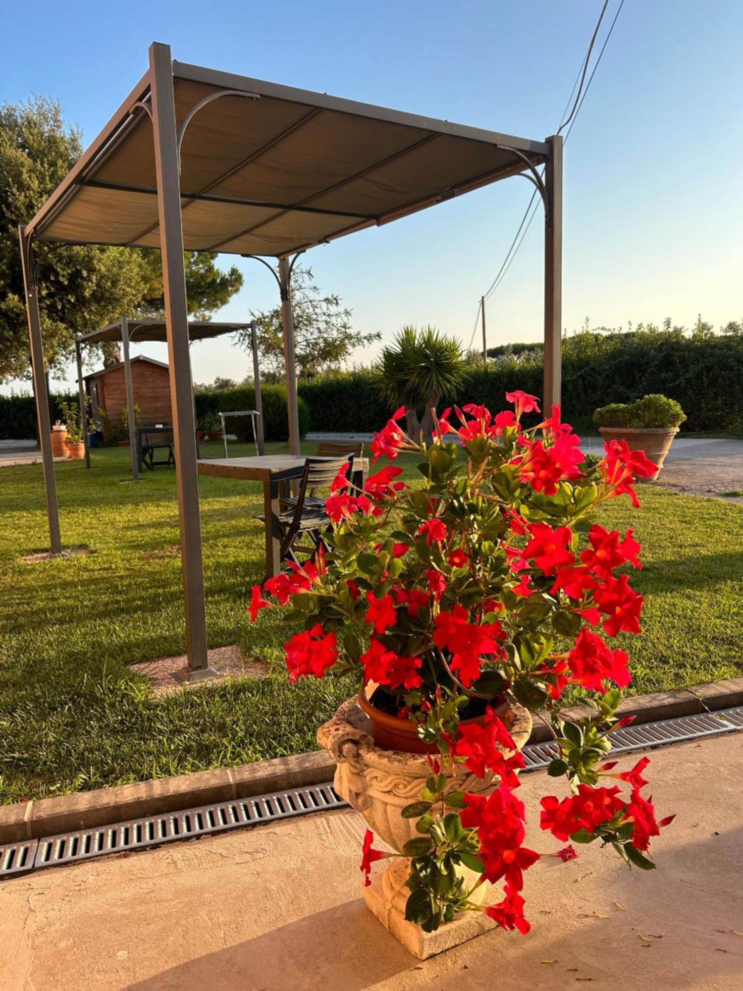 Agriturismo Da Michele E Carmela Di Voli Patrizia Donoratico Luaran gambar